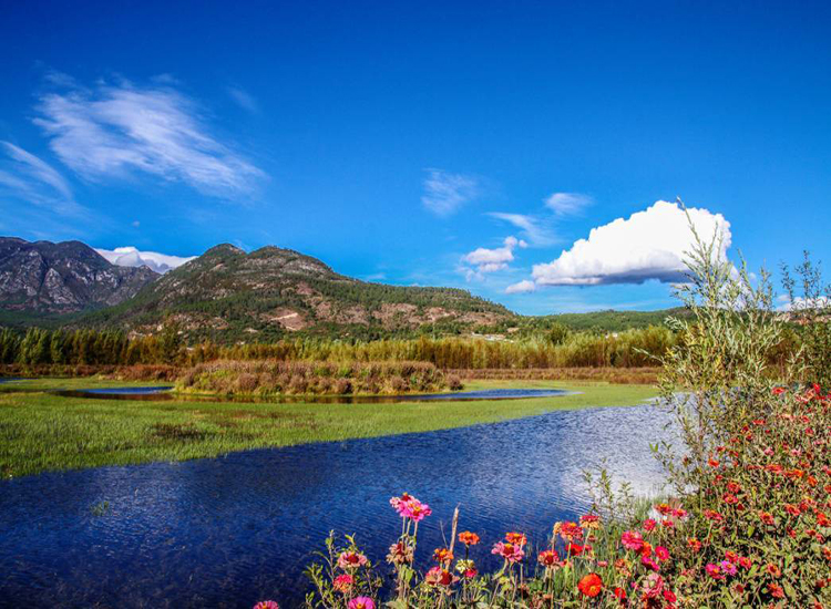 wKgBEFtNVlCABQf7AAX4xqYsudY56.jpeg?imageView2%2F2%2Fw%2F510%2Fh%2F8000%2Fq%2F100