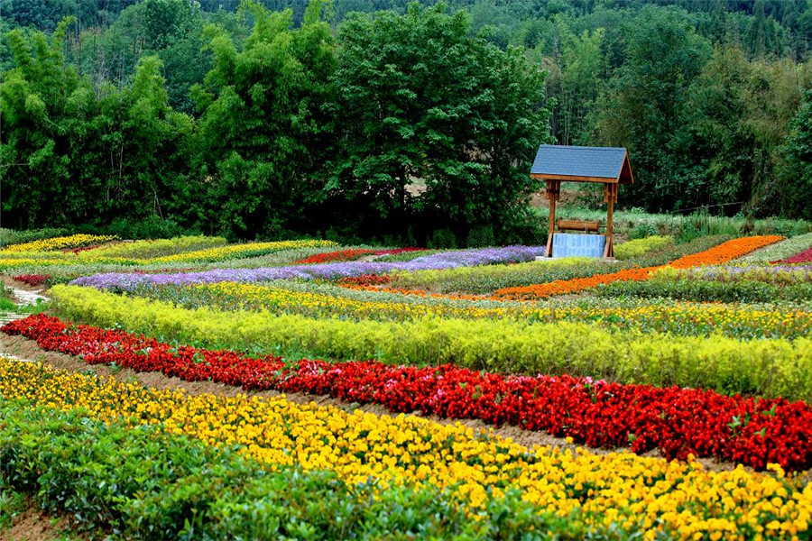 绵阳 原香国际香草园景区电子票