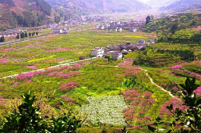 2018年乐昌九峰赏花游记,旅游攻略 马蜂窝