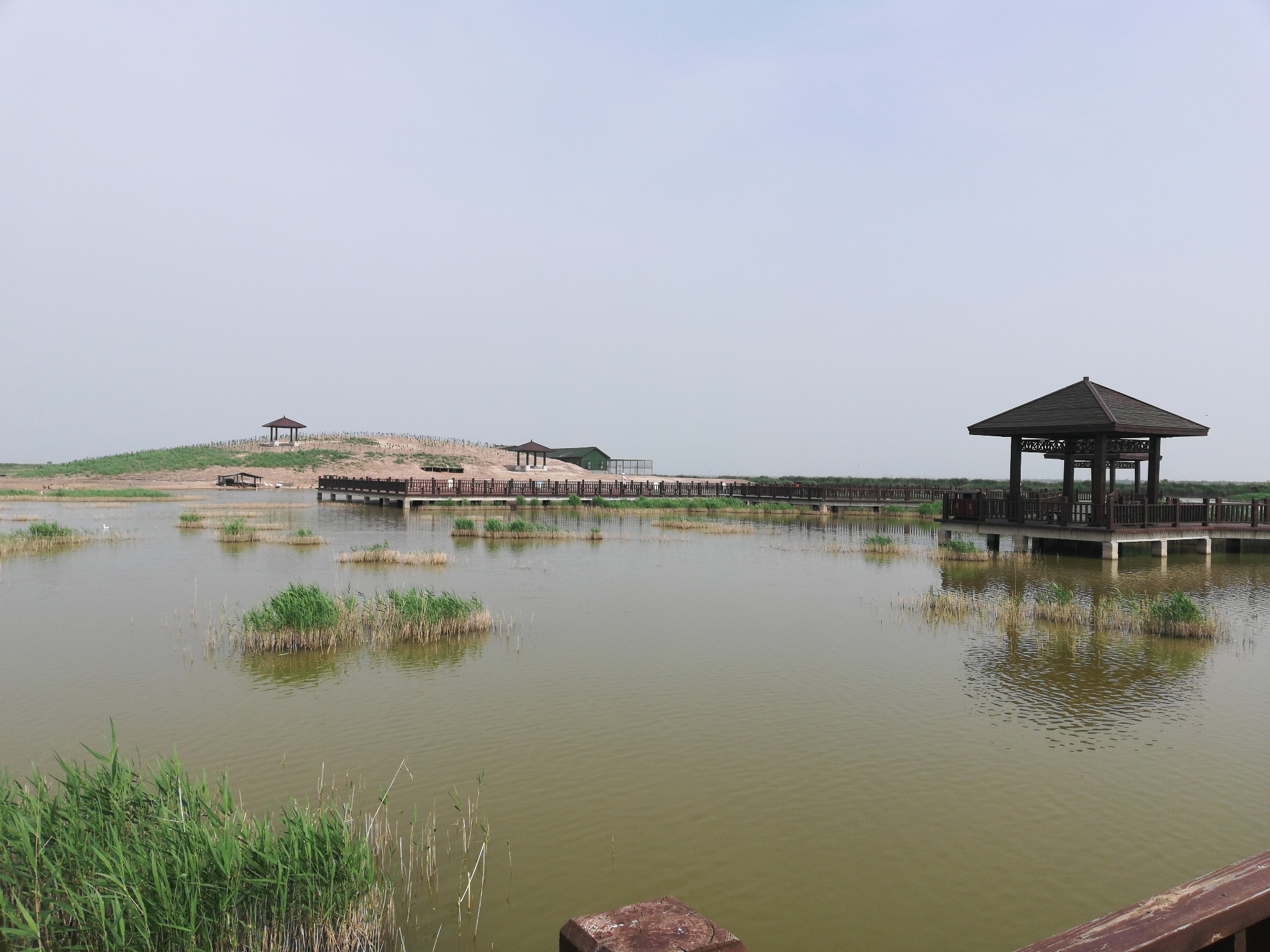 游记|河北湿地——黄骅市南大港