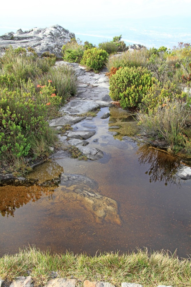 南非开普敦旅游,最佳观赏桌山时间是几月