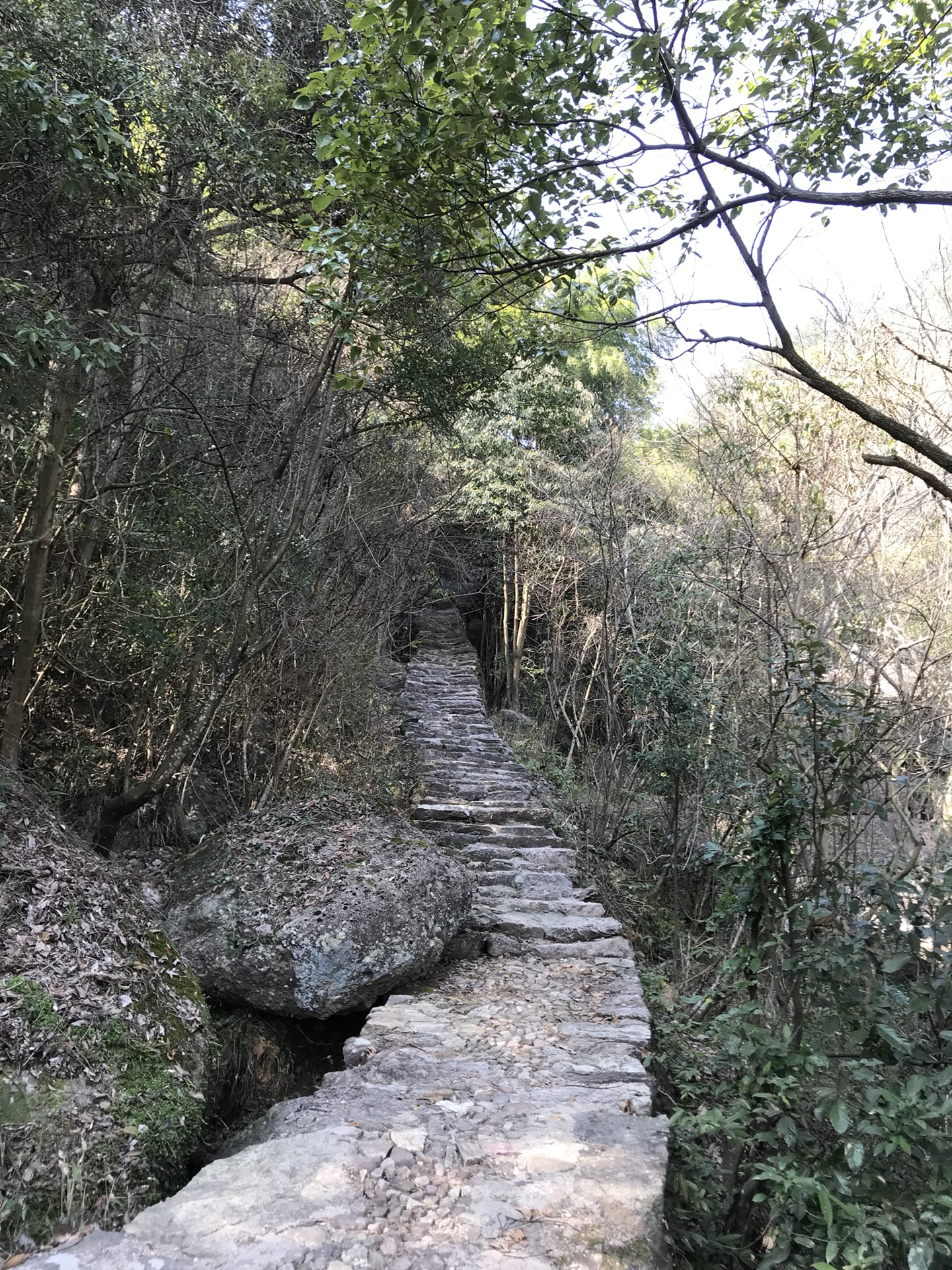 最陡的古道——奉化溪口茗山坑古道