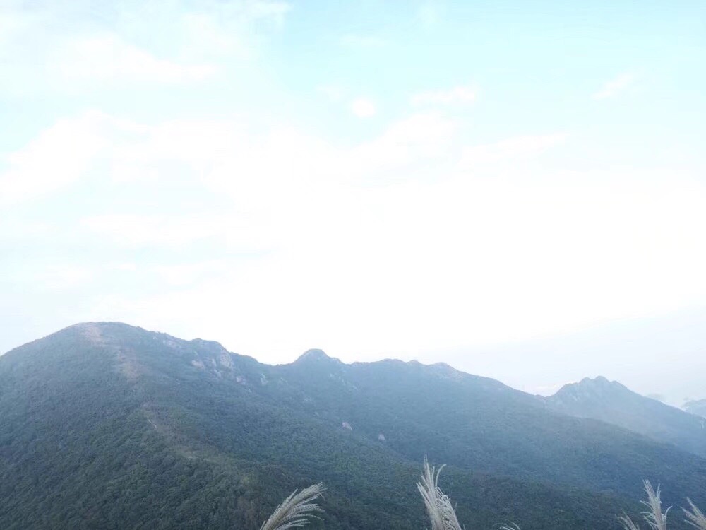 深圳大笔架山的面貌
