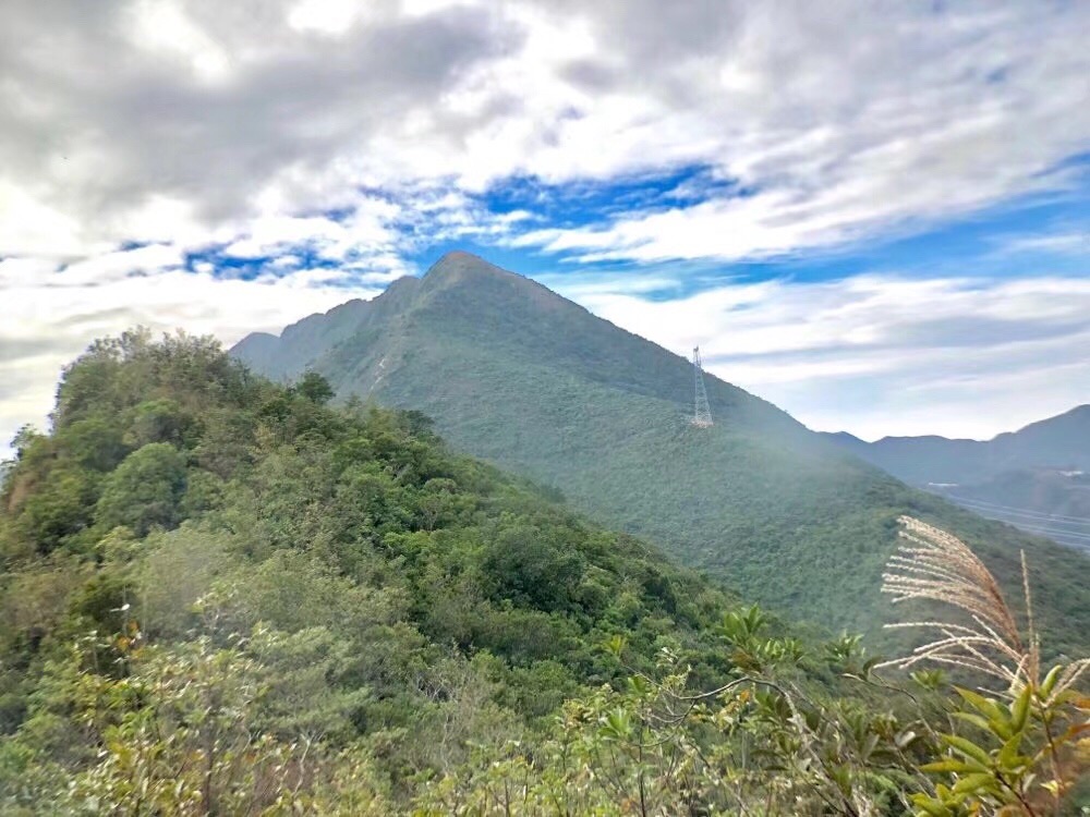 深圳大笔架山的面貌
