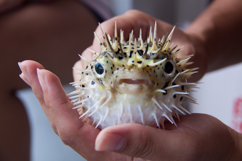 准备10/9左右去澎湖，历年那会澎湖的天气怎么样