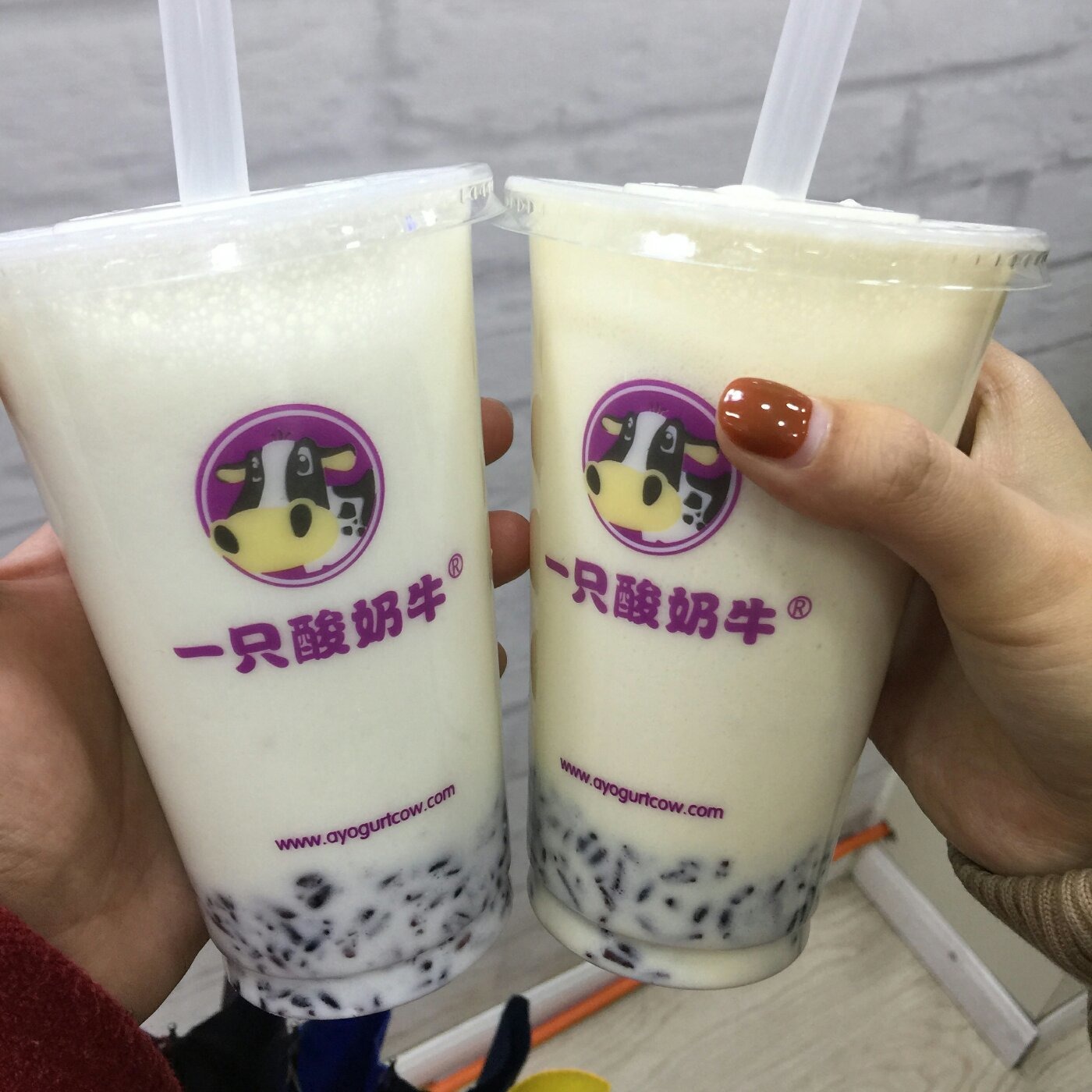 重庆一只酸奶牛(龙溪镇店)餐厅介绍, 一只酸奶牛(龙溪