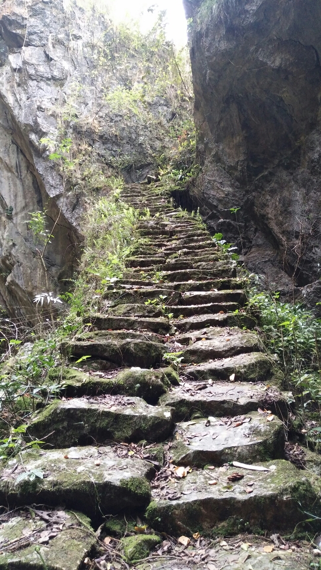 都安深进深山老林