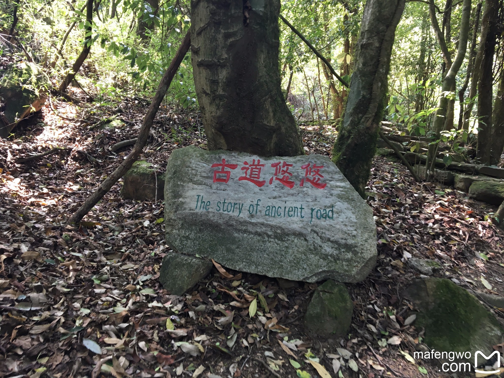 想去哀牢山探秘,它就在玉溪戛洒!