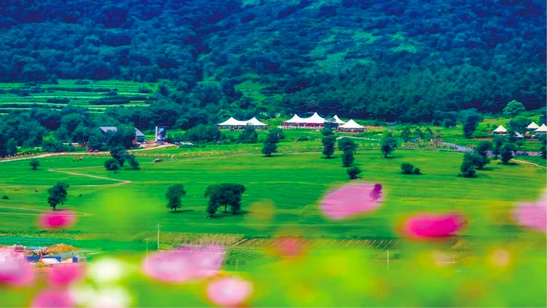 炎炎夏日，来避暑胜地甘肃感受空调般的游玩体验！