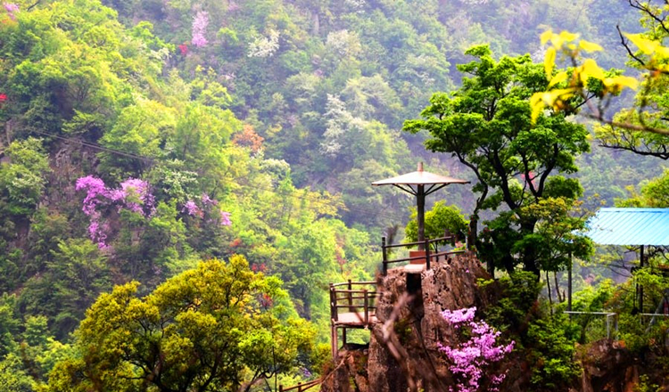 南阳西峡银树沟生态旅游区