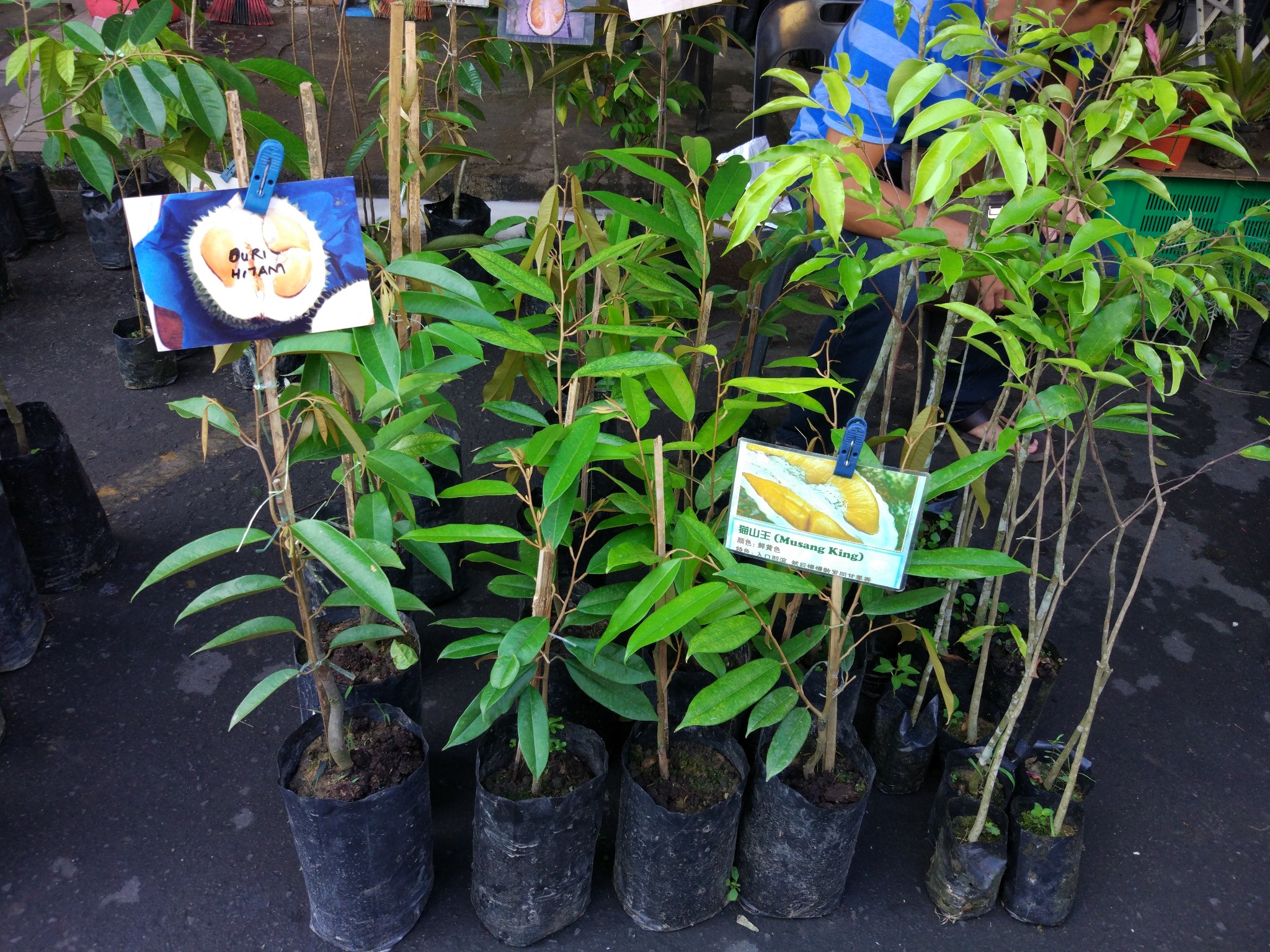 猜成语图片落日路_看图猜成语(3)