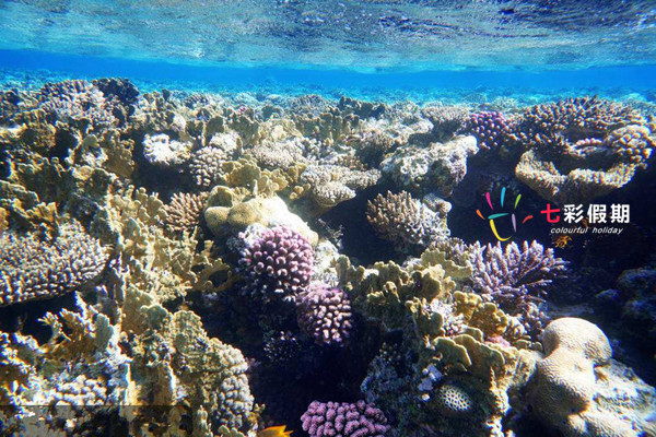 什么时候去斐济雨水最少,那儿的气候比较适合带什么类型的衣服