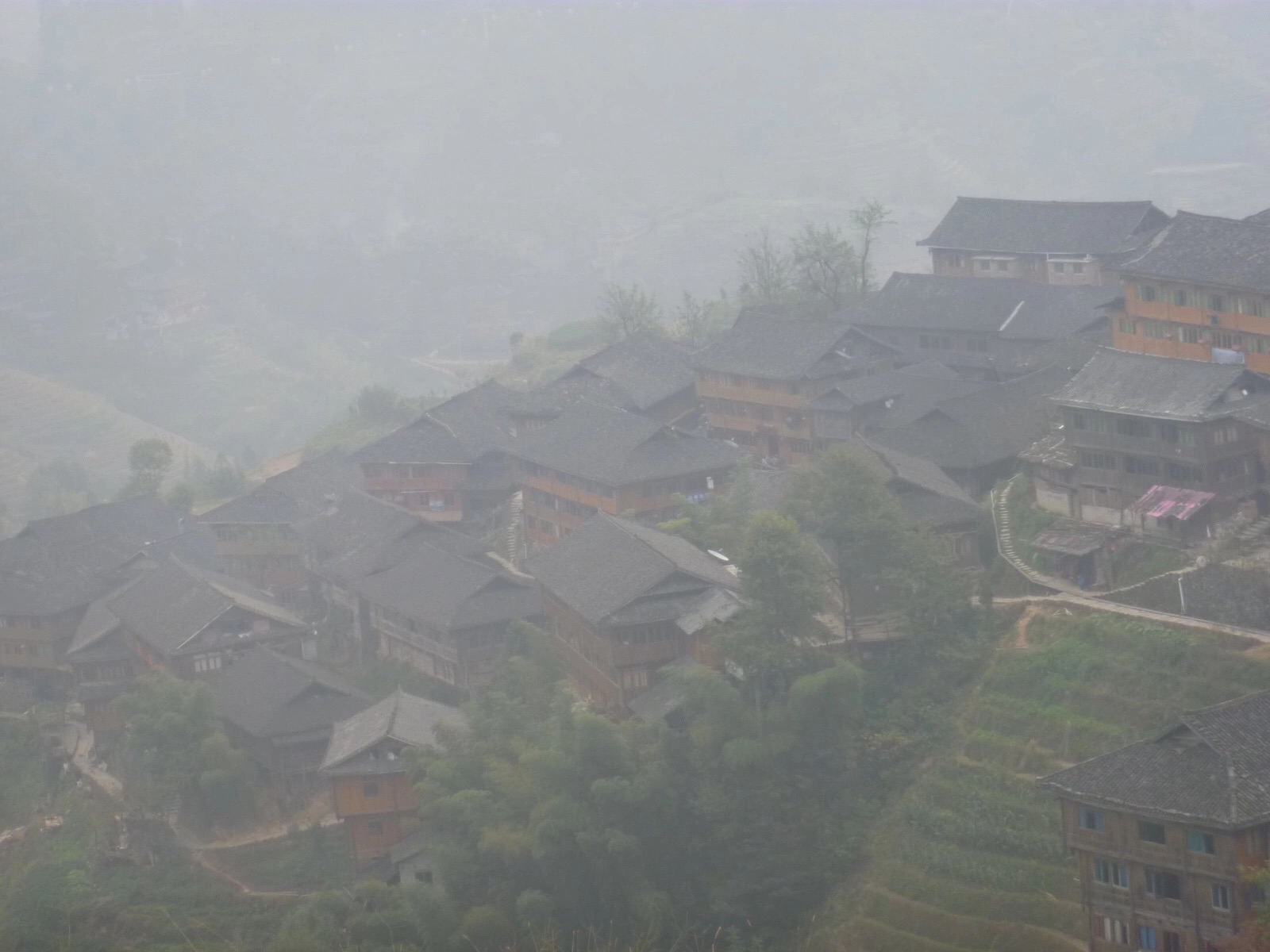 广西宜州屏南镇多少人口_宜州区屏南乡街道