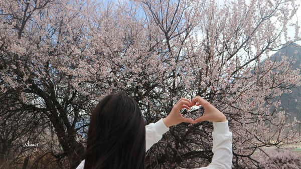 为什么有的人特别有桃花 wKgBEFsU1SWAKKyOABgIms9LmZM02.jpeg?imageView2%2F2%2Fw%2F600%2Fh%2F600%2Fq%2F90