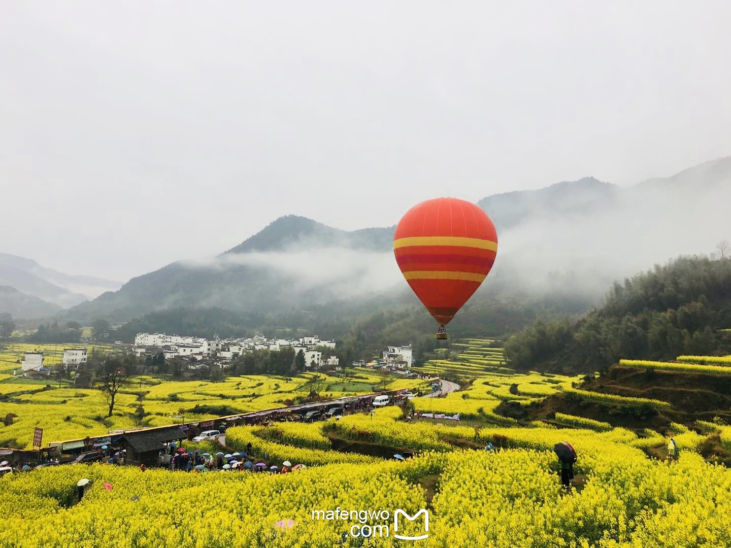 有一个春天叫婺源-春日赏花踏青江岭_游记