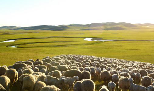 呼伦贝尔一般什么时候去最好