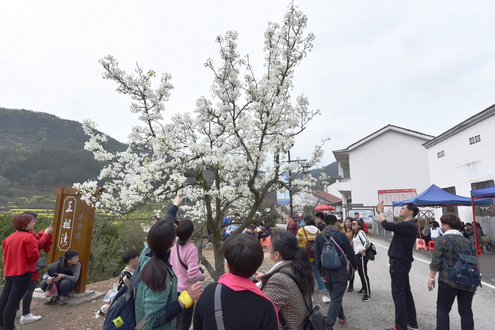 黄石大冶沼山村@小婺源