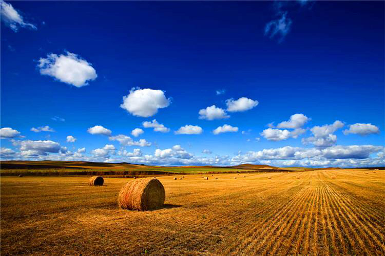 呼伦贝尔一般什么时候去最好