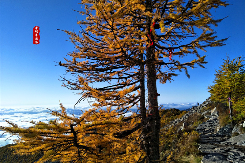 太白山-天界索居非一日 坐看云起夺秋峦_游记