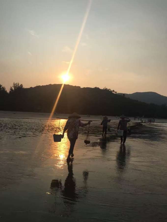 惠东盐洲岛攻略,一场原生态攻略,惠东旅行之旅-马杭州到三清山旅游攻略图片