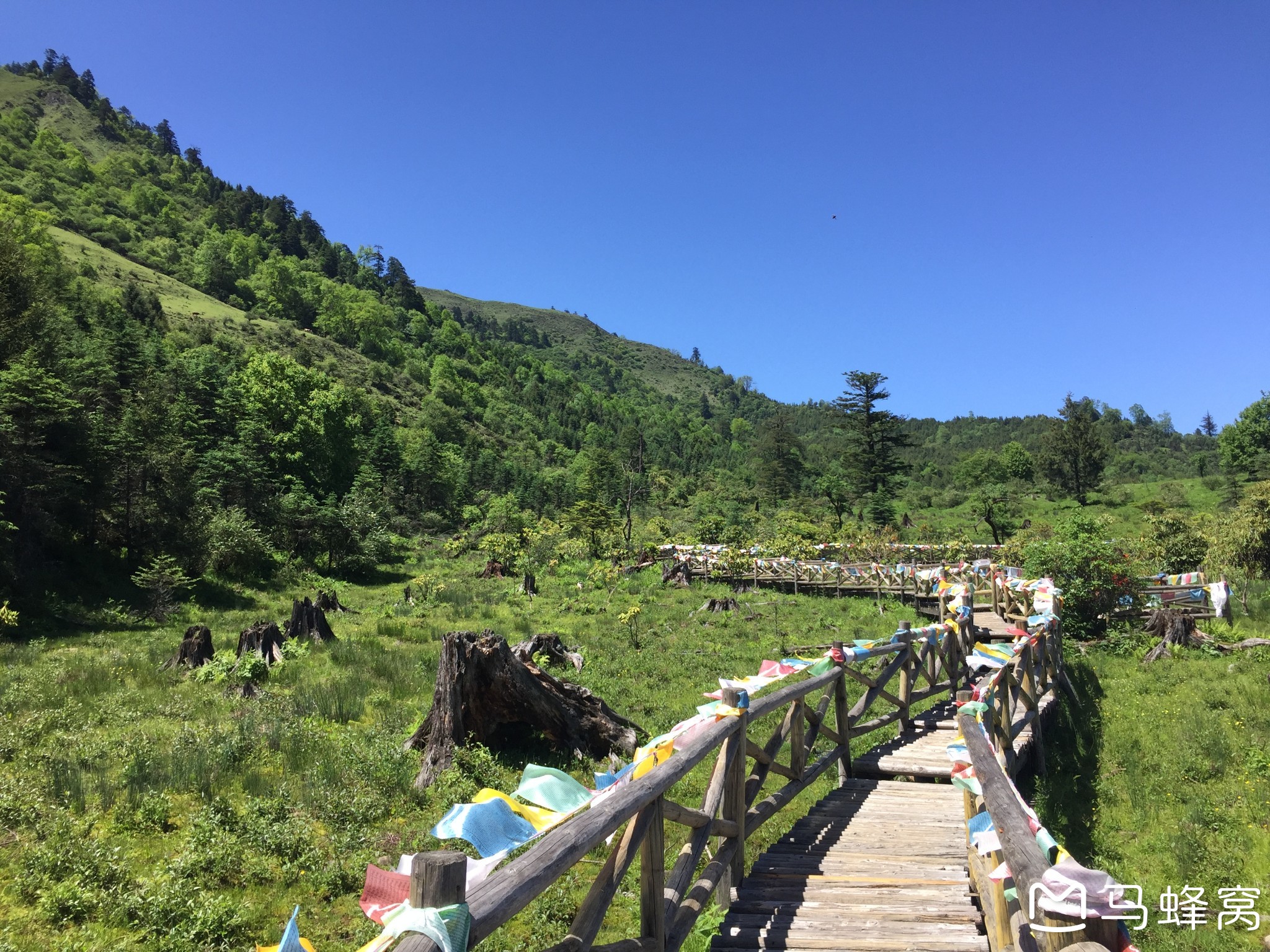 夏季两日洗肺自驾——东拉山,邓池沟,神木垒