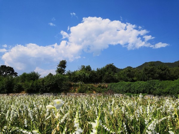 天池水库收费吗 wKgBEFt9Ah2AZbhPAAxPIHBu5CE14.jpeg?imageView2%2F2%2Fw%2F600%2Fh%2F600%2Fq%2F90