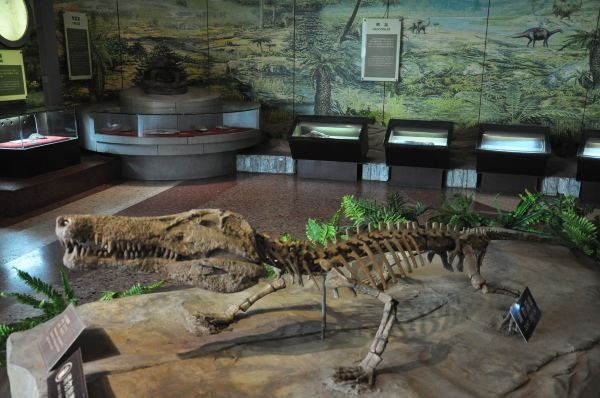 走遍天下之四川篇:自贡恐龙博物馆