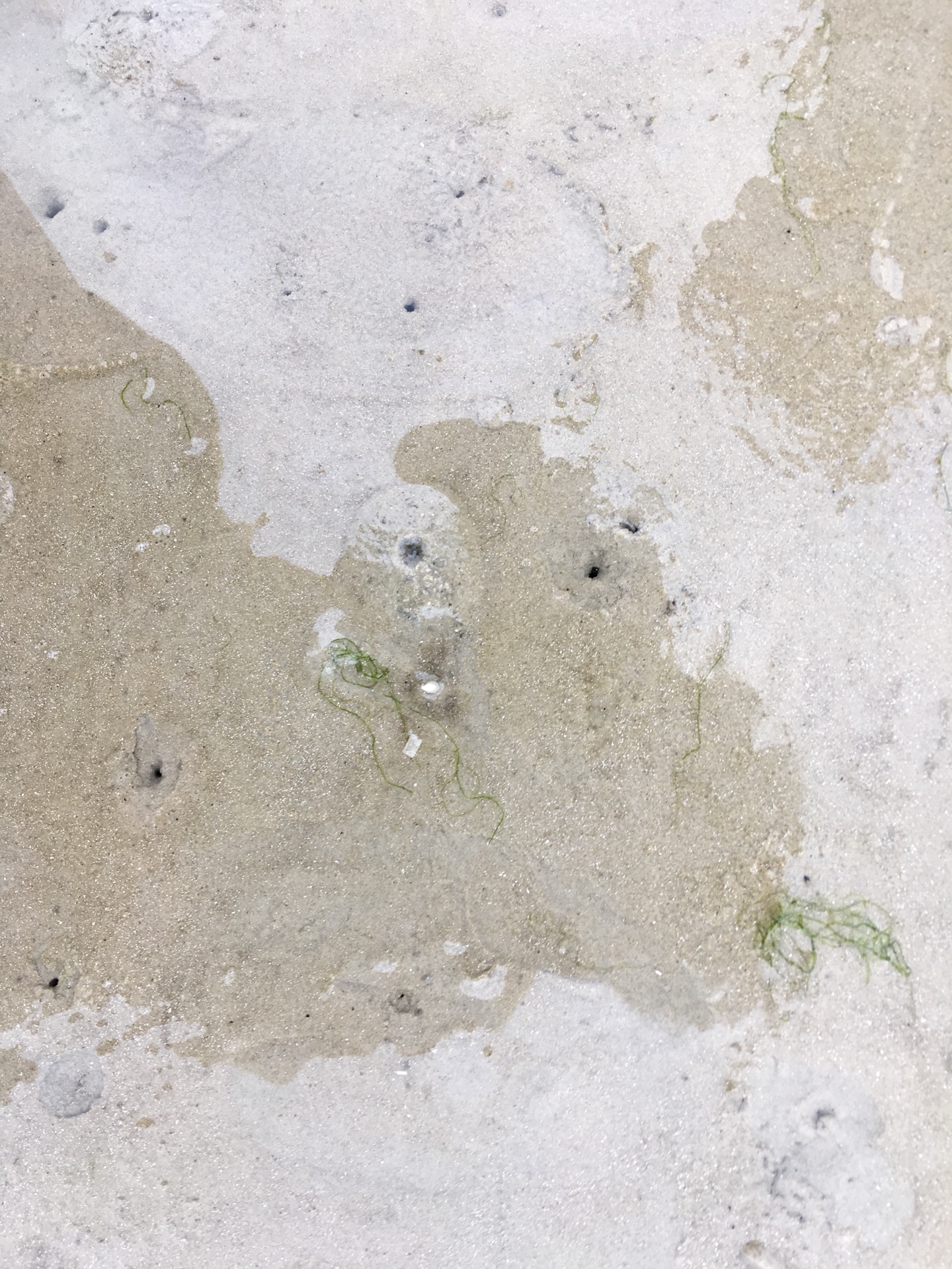银滩上随处可见这些小沙球,都是小沙蟹弄的,而银滩上的小孔多是沙虫