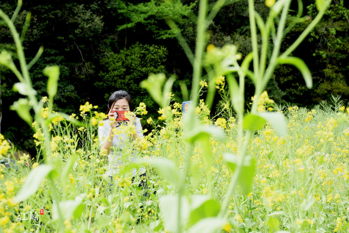 梦境解析,在山间种花生与水之梦的深层含义 梦境解析,在山间种花生与水之梦的深层含义