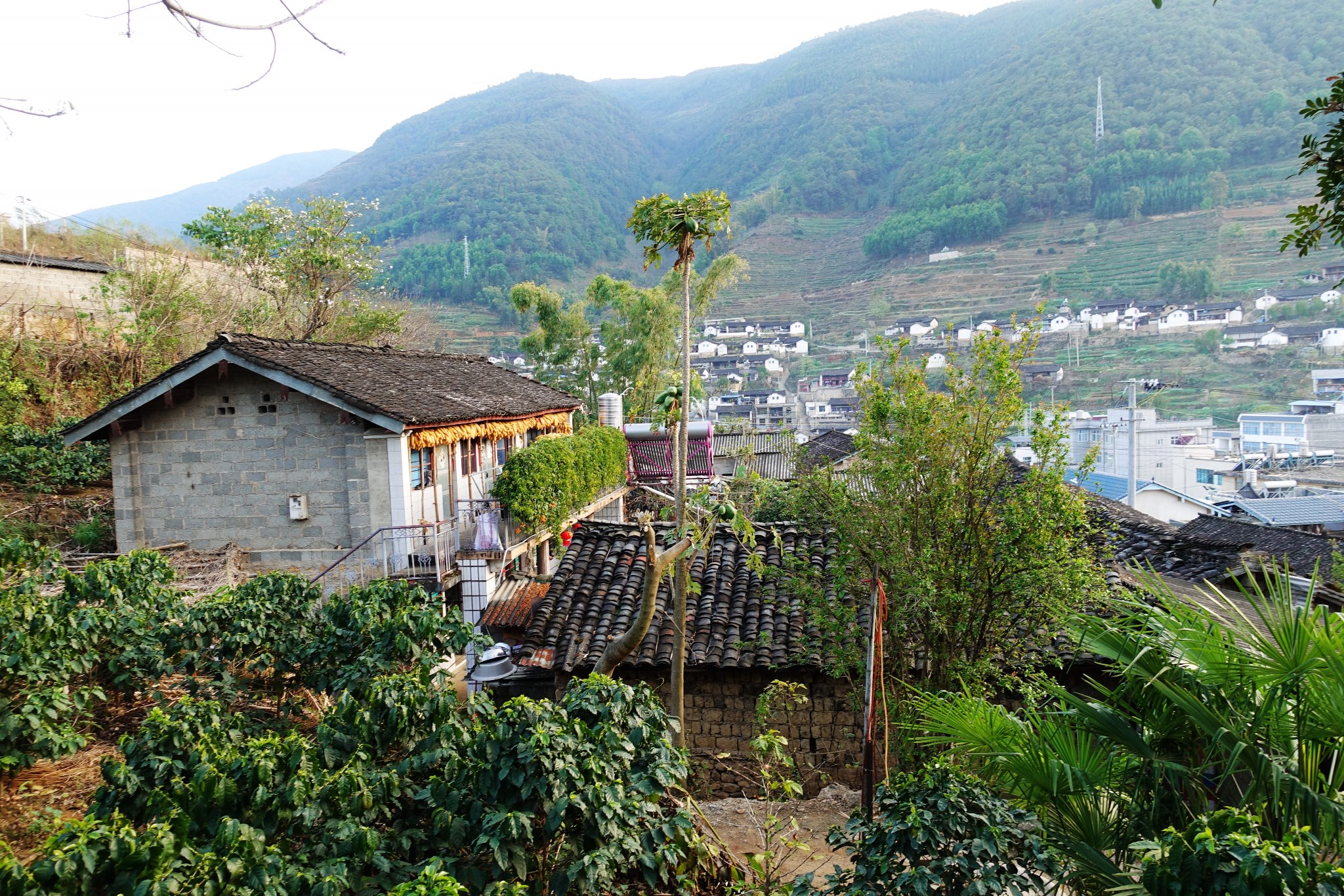 龙陵           