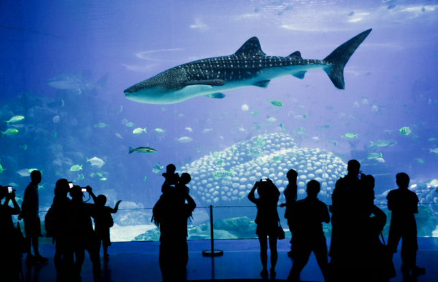 wKgBEFs9xYKAWEAPAAXr2unUv-A277.png?imageView2%2F2%2Fw%2F600%2Fh%2F600%2Fq%2F90