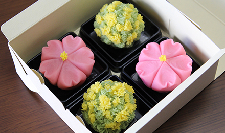 东京日式茶点和果子和抹茶制作 马蜂窝自由行 马蜂窝自由行