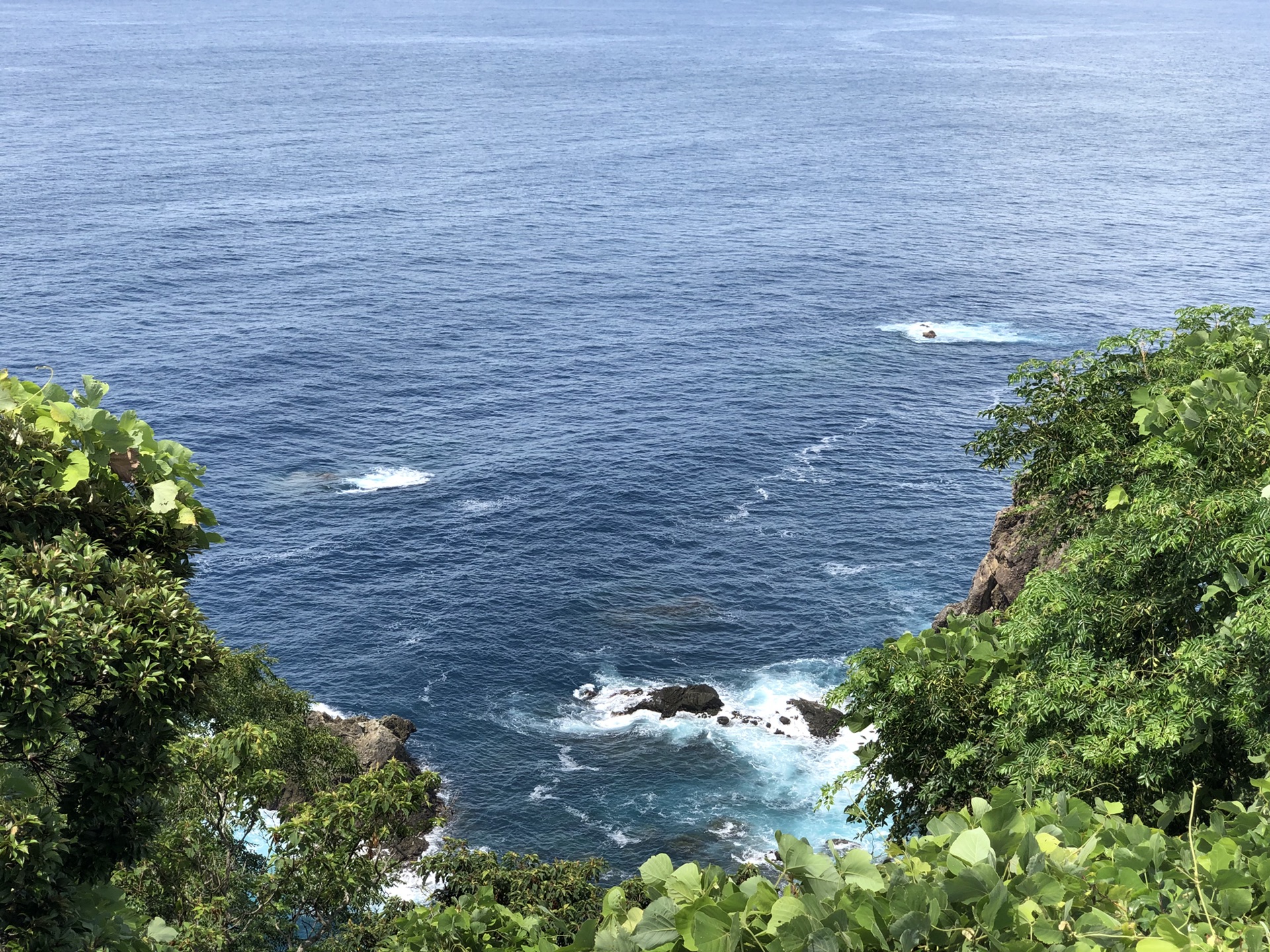 6日 东京-伊豆-白滨海滩-堂岛-修善寺行 〖我的第一篇