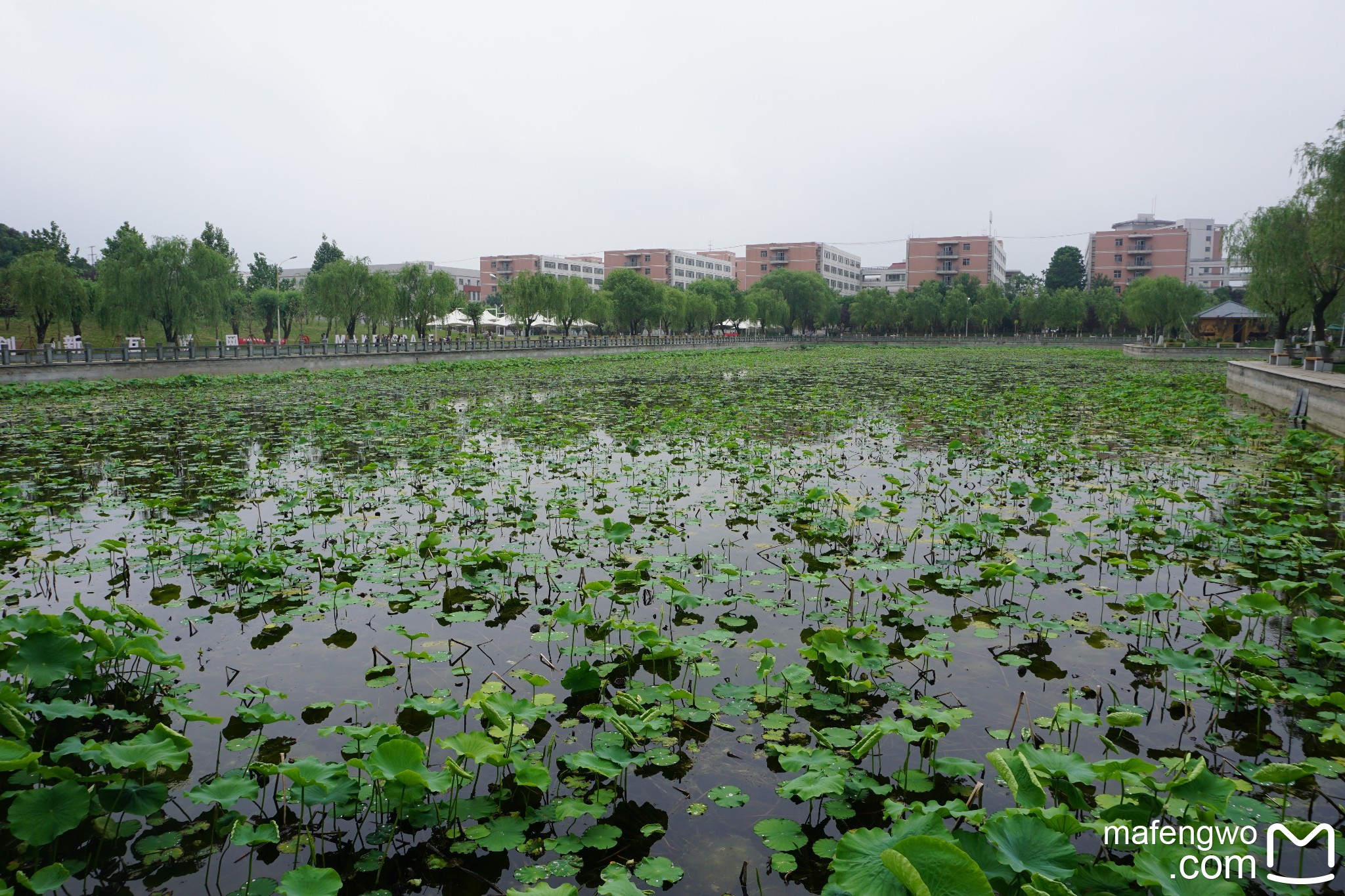 商丘师范学院新校区