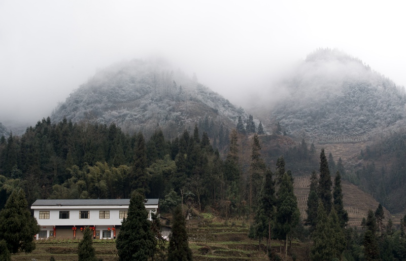 去泸州市海拔最高的分水镇罗汉林看雪景,叙永旅游攻略