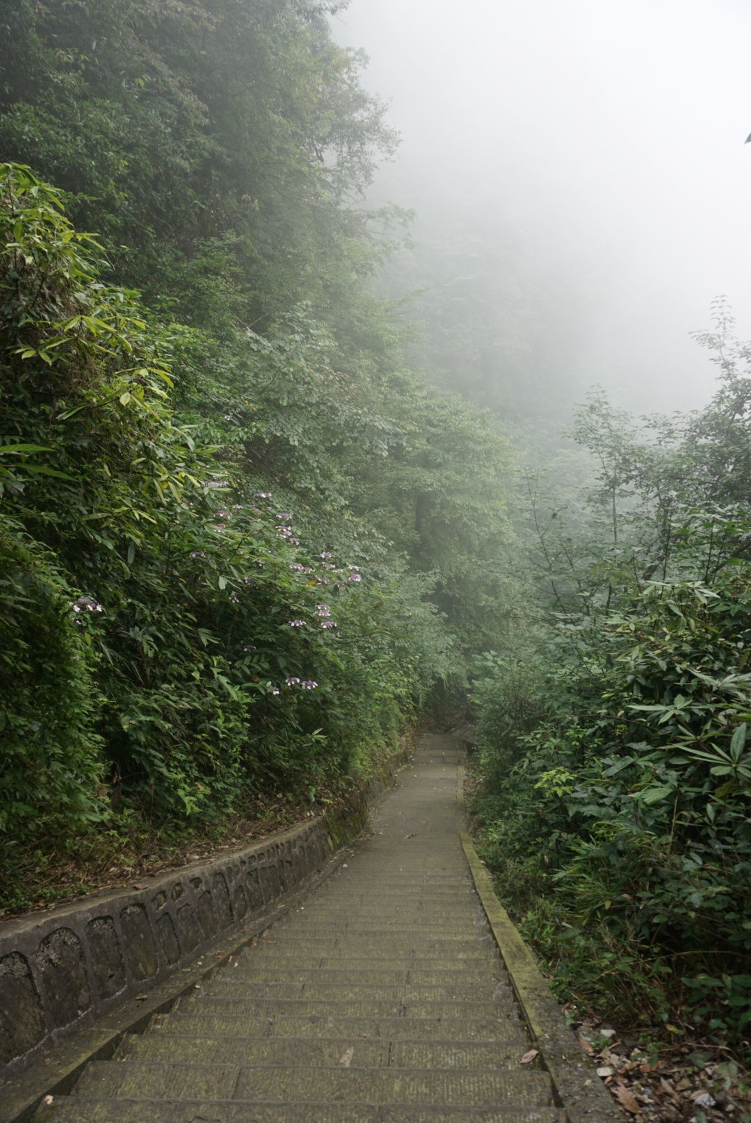 峨眉山多少人口_峨眉山要多少门票(2)