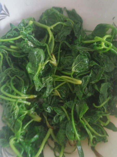 婆婆丁是什么样子 wKgBEFrmssaAAtHJAAWEtXItLZk75.jpeg?imageView2%2F2%2Fw%2F600%2Fh%2F600%2Fq%2F90