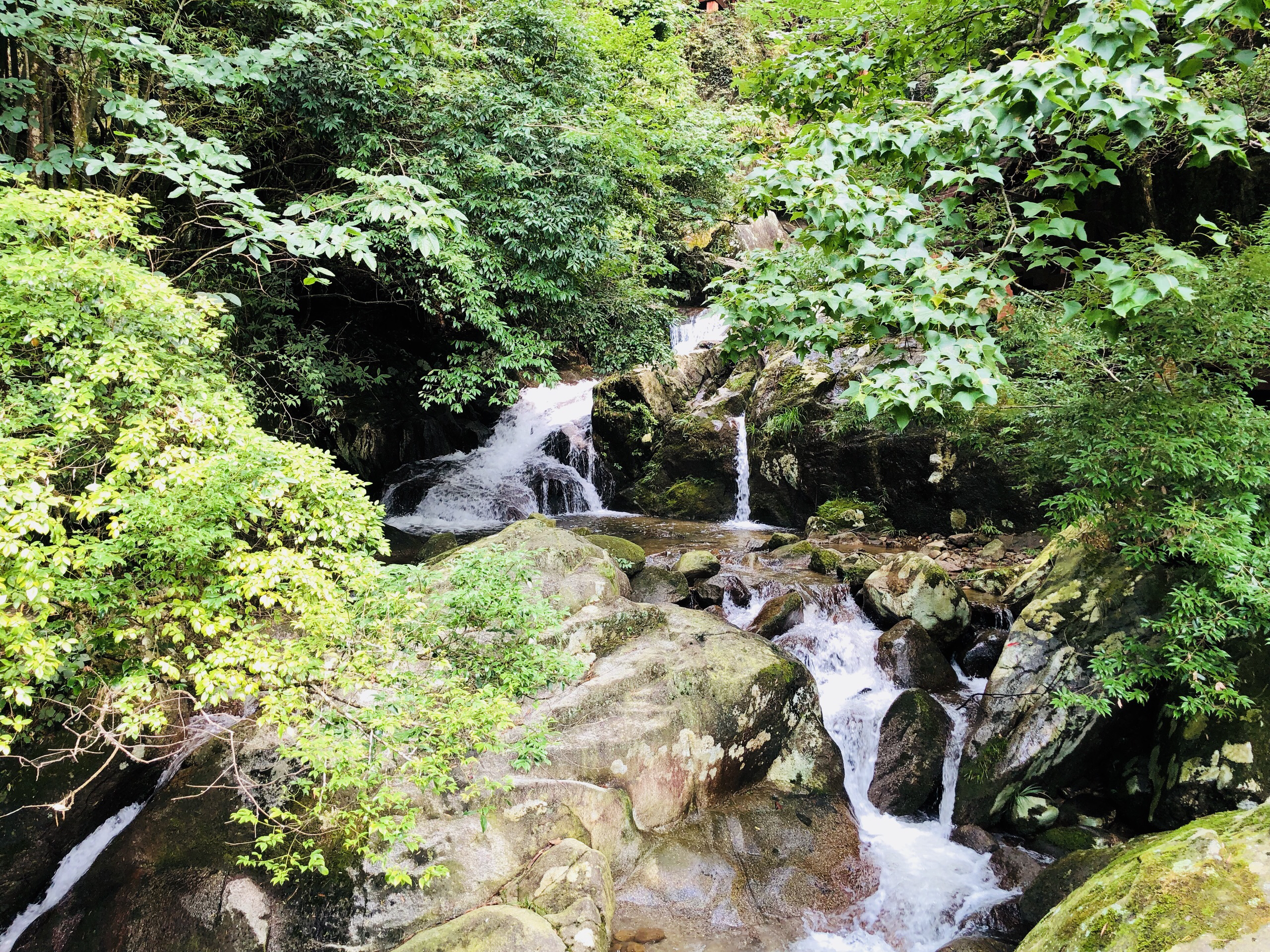 长沙5个必去景点，长沙有哪些好玩景点，长沙景点大全