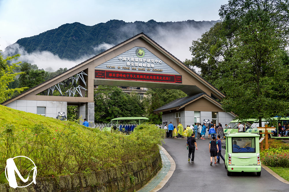 中国大熊猫保护研究中心雅安碧峰峡基地