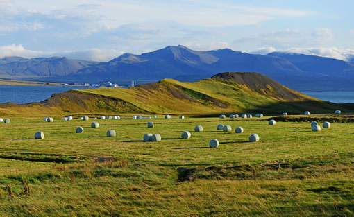 美国人均gdp比北欧都高_遍地火山的北欧岛国,人均GDP比美国还高,而且整个国家没有蚊子(2)