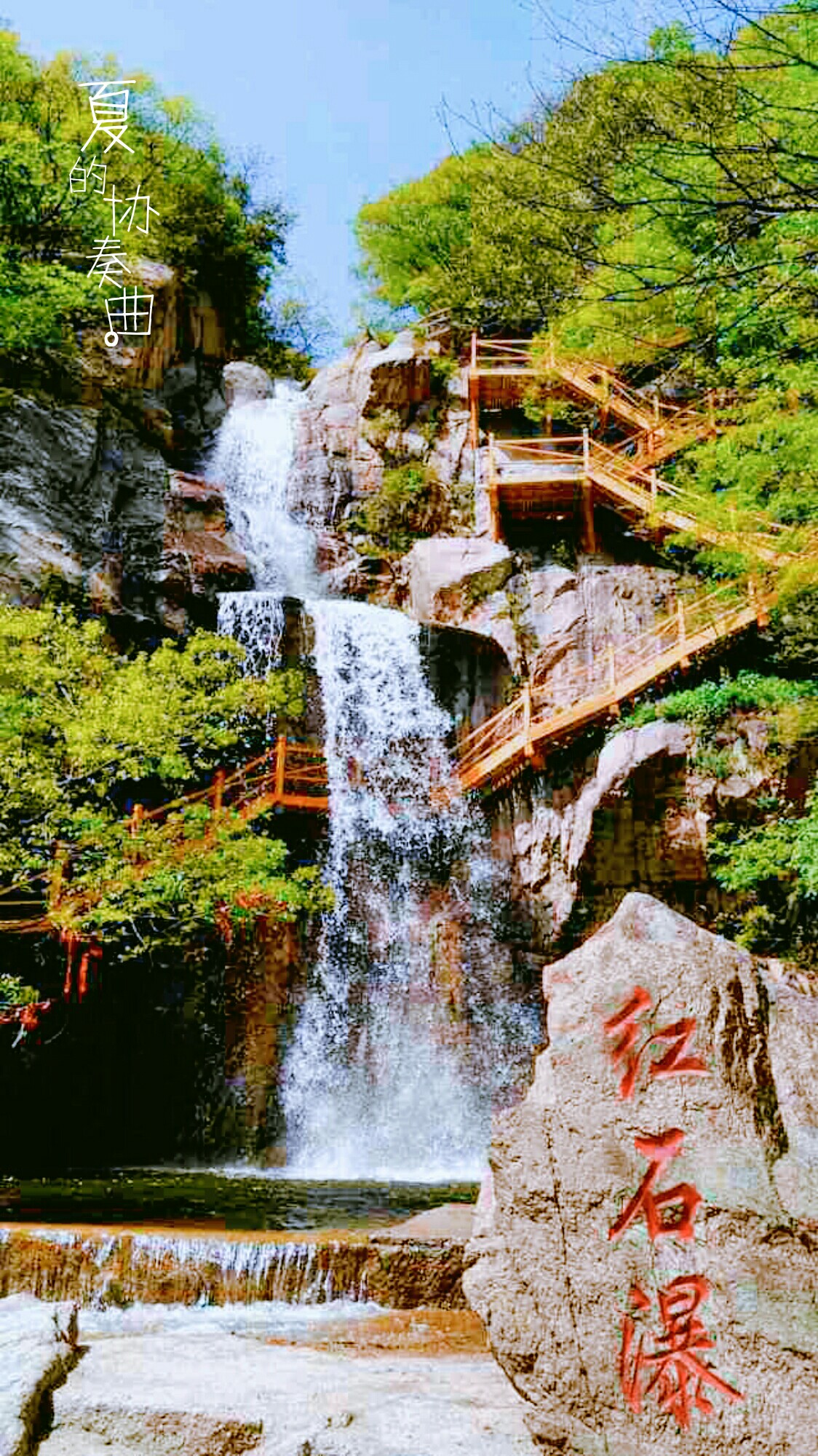 忆画眉,天生一抹翠绿,鲁山自助游攻略 - 马蜂窝