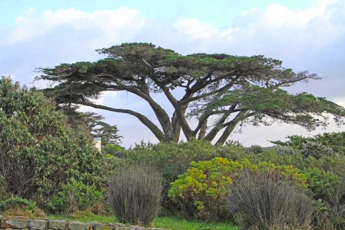 南非开普敦旅游,最佳观赏桌山时间是几月