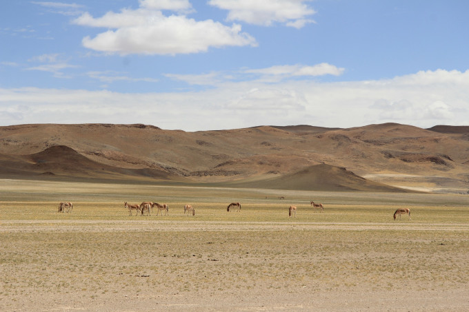 西藏怎么玩八日游 wKgBEFttLu2AID4GAAsh5OOQL_M67.jpeg?imageView2%2F2%2Fw%2F680%2Fq%2F90%7CimageMogr2%2Fstrip%2Fquality%2F90