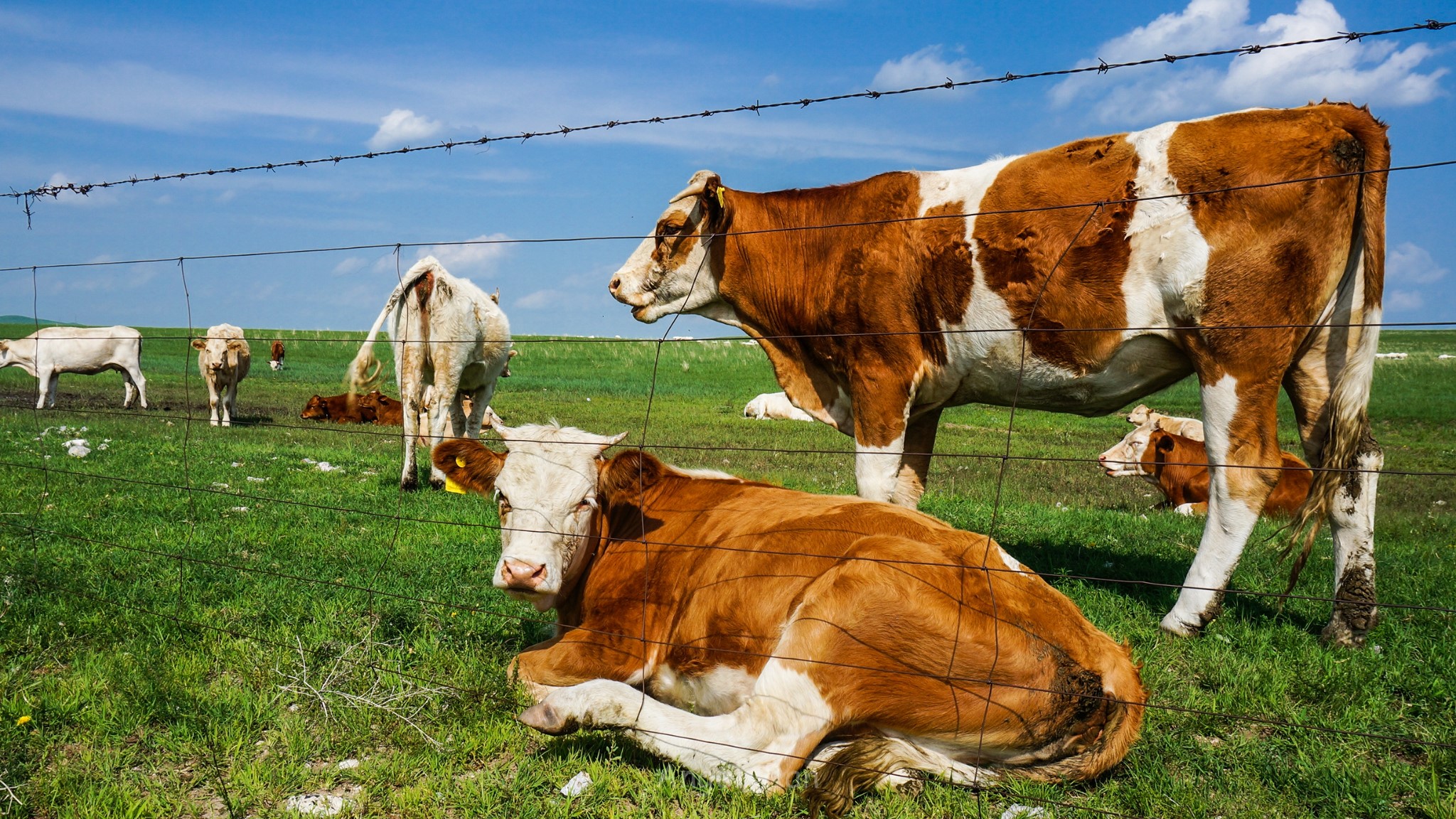 拽猜一成语_木猜一成语疯狂看图(3)