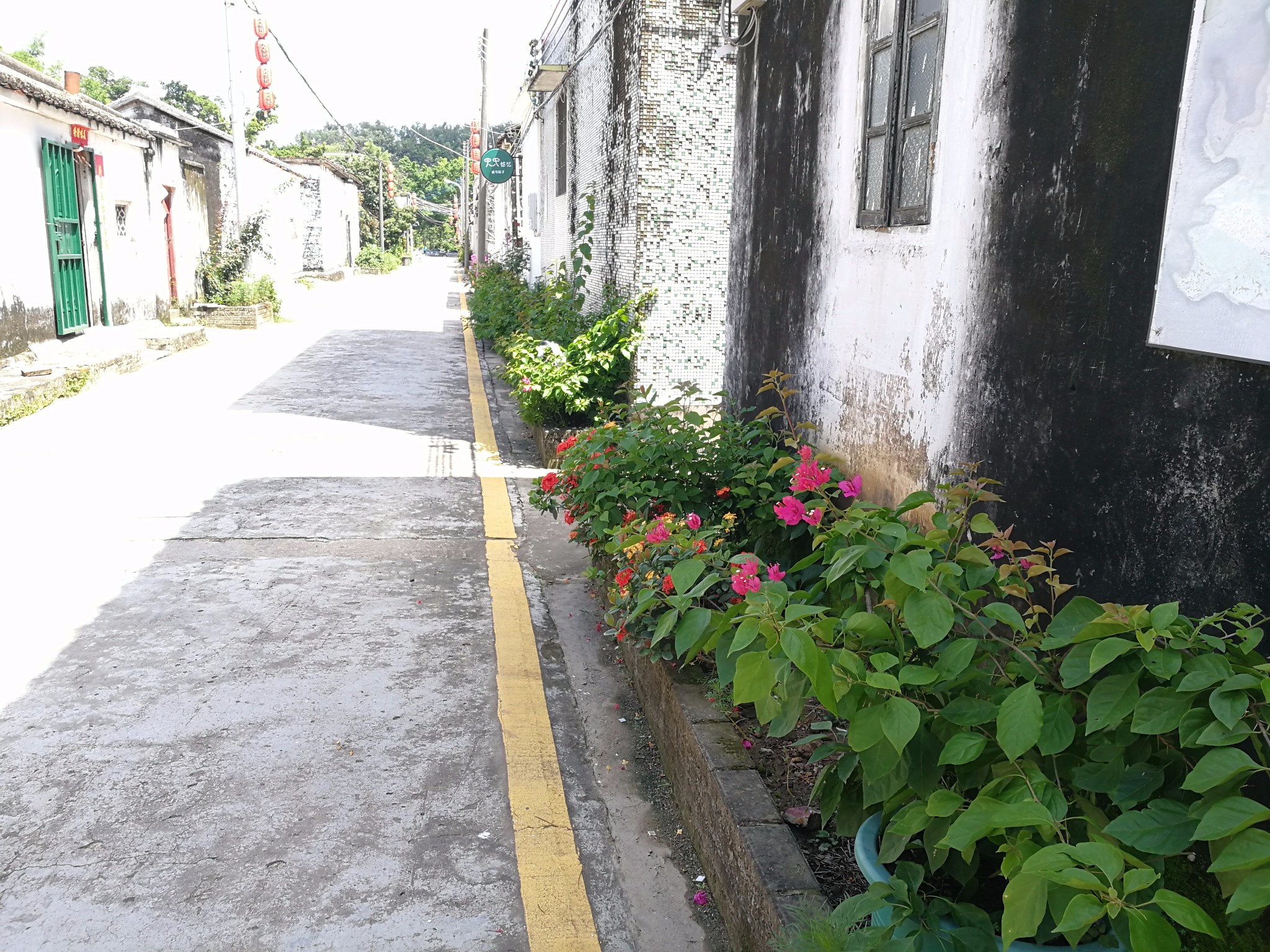 珠海市石龙村人口_孟关乡石龙村