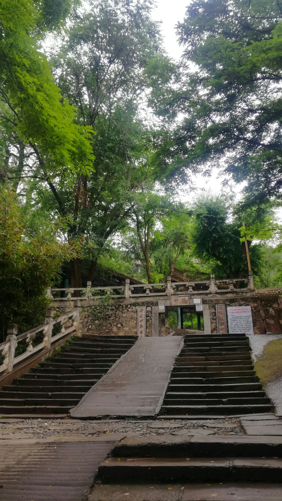 雨中登临洮岳麓山