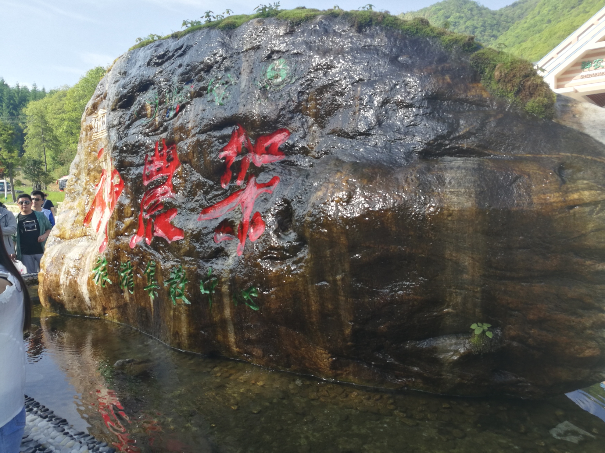 武汉去神农架融情于景寄情壮丽河山漫步如画景致记湖北宜昌神农架之行