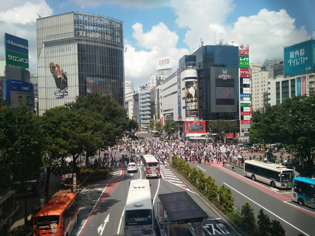 日本东京有多少人口_日本东京的人口密度有多大 日本东京的房价多少钱一平米(3)