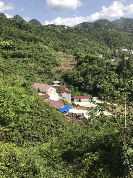 屏山村游玩攻略,屏山村游玩攻略一日游