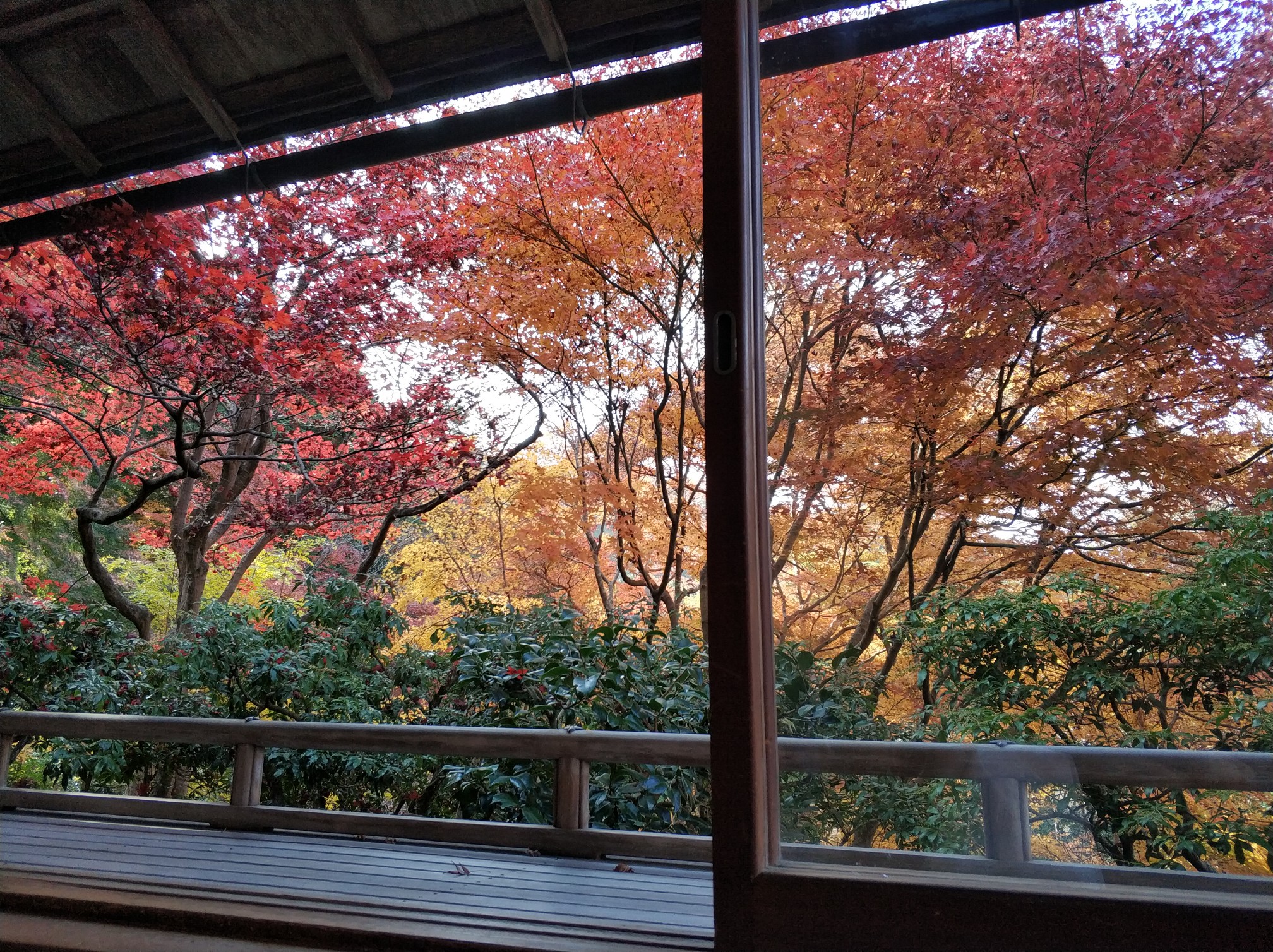 day   京都第一站 琉璃光院&三千院